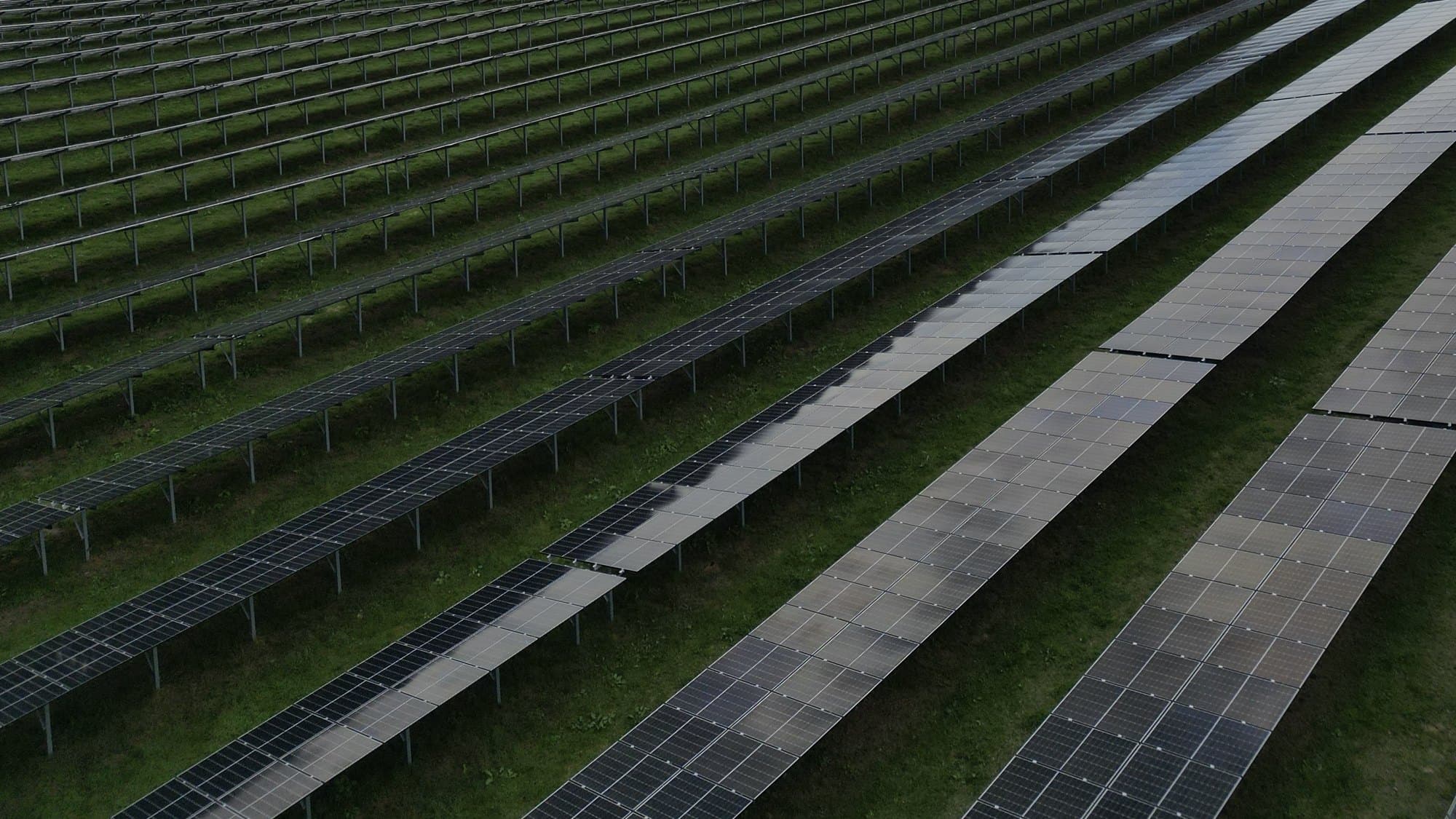 Aufgeständerte Modulreihen einer Freiflächenanlage mit Grasfläche darunter, ausreichend Platz für Beweidung Aufgeständerte Modulreihen einer Freiflächenanlage mit Grasfläche darunter, ausreichend Platz für Beweidung