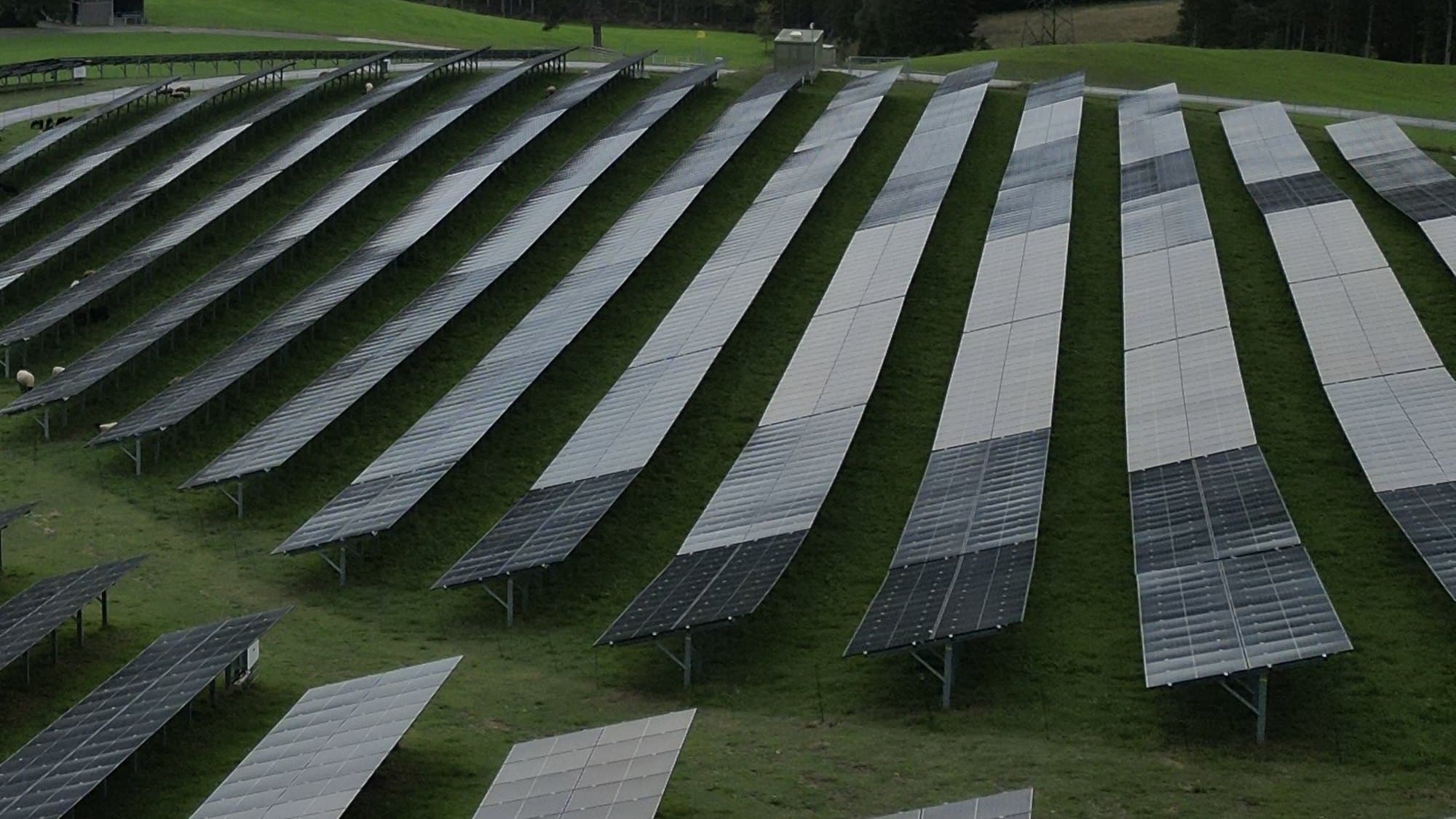Photovoltaik-Freiflächenanlage in Hanglage mit Modulreihen, Trafostation und weidenden Schafen Photovoltaik-Freiflächenanlage in Hanglage mit Modulreihen, Trafostation und weidenden Schafen